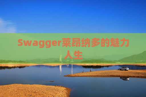 Swagger莱昂纳多的魅力人生